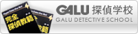 GALUTwZ